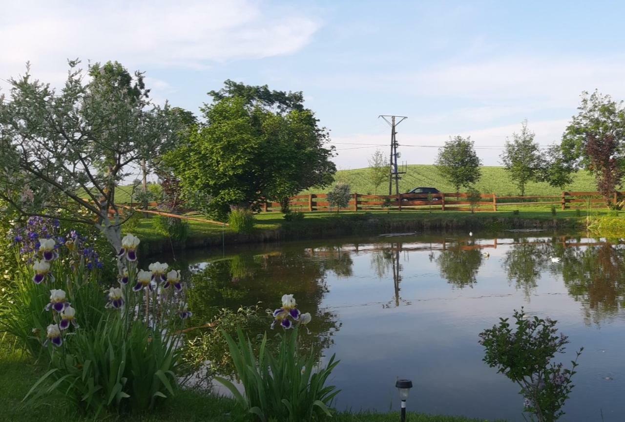 Agroturystyka Nad Stawem Mazuchowka Wydminy Dış mekan fotoğraf